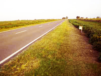 ruta